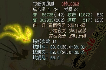 超级飞鱼(一次飞升造型)