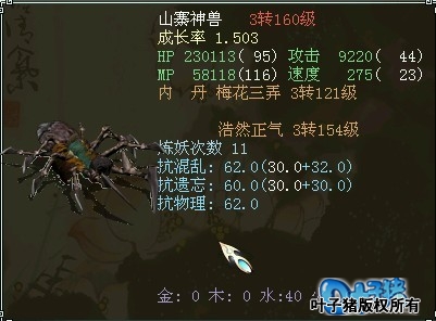 ɽկ������