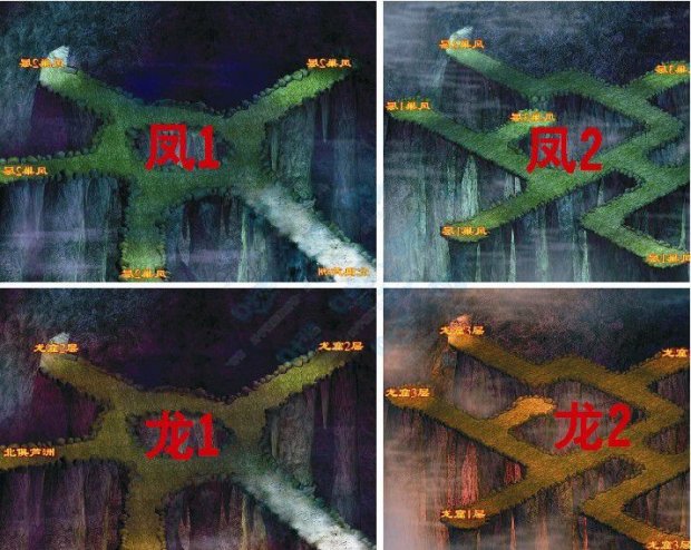 ��Ҷ���ϸ����